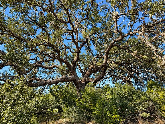 5th image of LOT 32 Lariat Trace LOT 32
