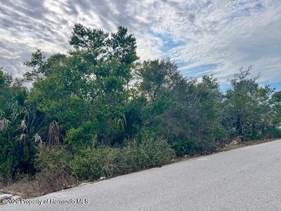 12432 Penton St, Spring Hill, FL, 34608