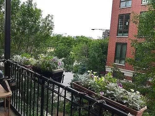 5th image of 1205 N Orleans St APT 103