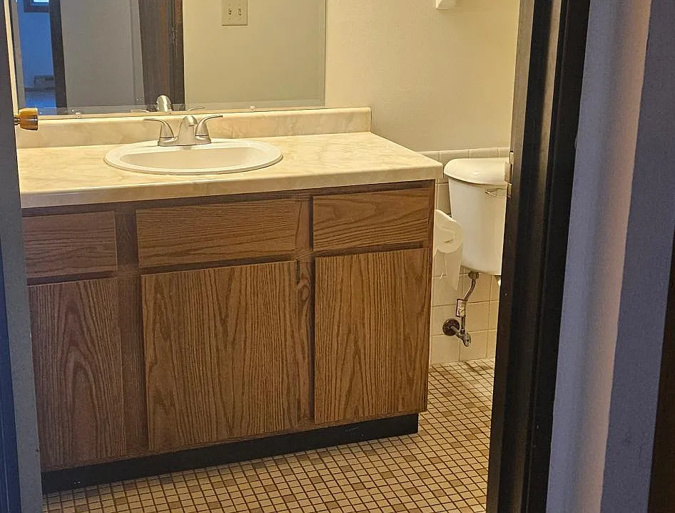 Bath with large vanity, new light fixture