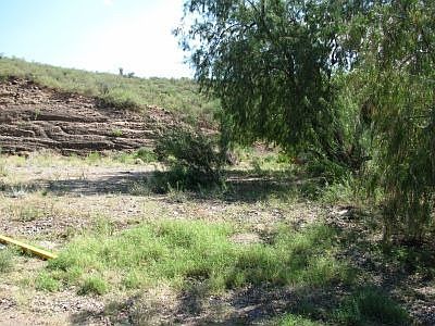 Back of property view