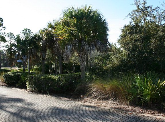 3rd image of 12210 Anchor Cove Dr
