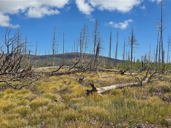 Lot 1242 Granville Loop, Fort Garland, CO 81133