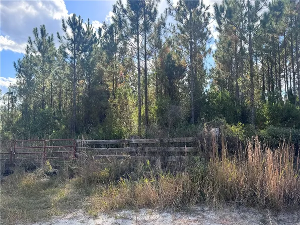 Mount Olive Rd, Waynesville, GA 31566