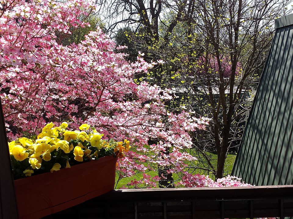 Balcony in the Spring 