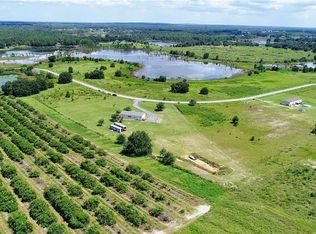 8017 Sergeant Pepper Dr, Howey In The Hills, FL 34737