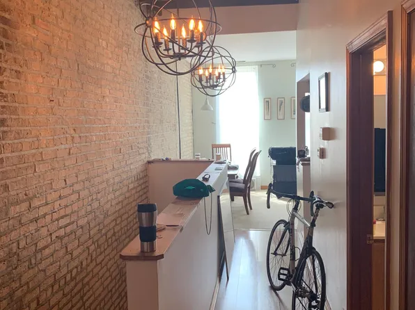 1003 S Racine Ave #3, Chicago, IL 60607