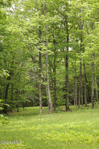 4th image of 241 Minke Road