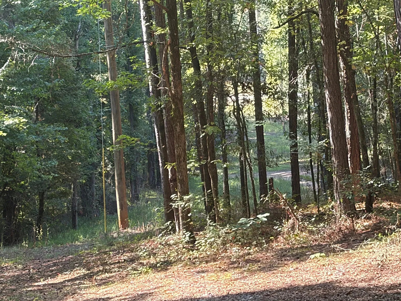 Close to pineroad park, gated house not visible from the road, on 6 acres in country — Photo 3