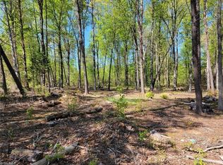 0 Bristol Ln, Randleman, NC 27317