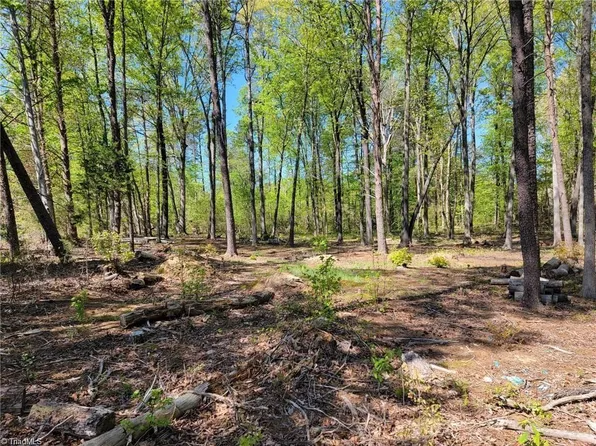 0 Bristol Ln, Randleman, NC 27317