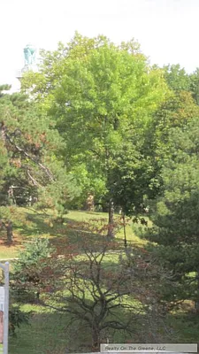 Rented by Realty on the Greene | media 17