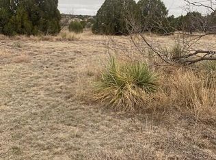 305 Lake Ridge Rd, Canyon, TX 79015