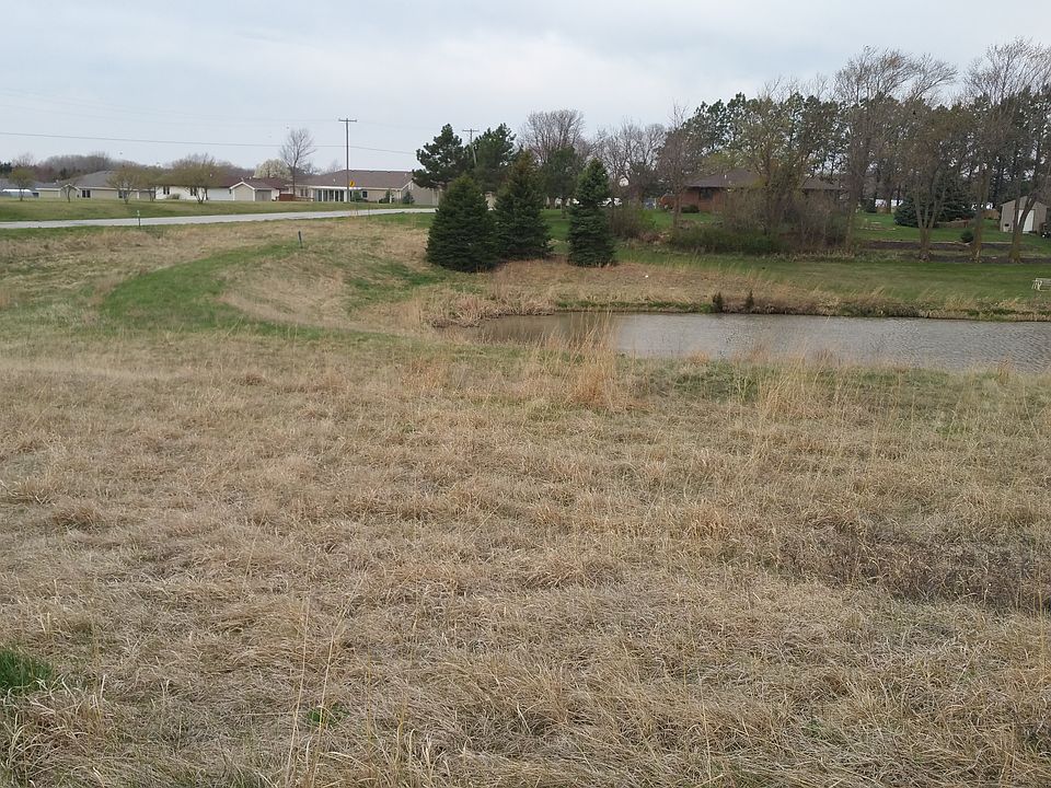 Ducks, geese, fox, deer