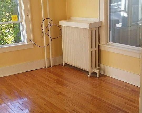 Hardwood Floors & Natural Light