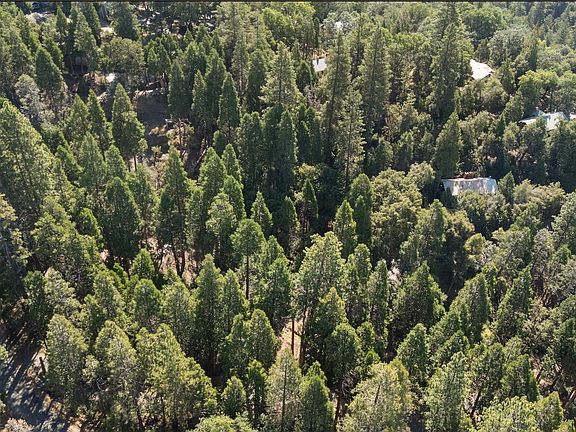 4th image of 1482 Coy Flat Dr