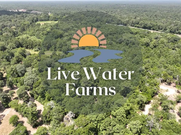 S2l3 Lake Pool Rd, Shepherd, TX 77371