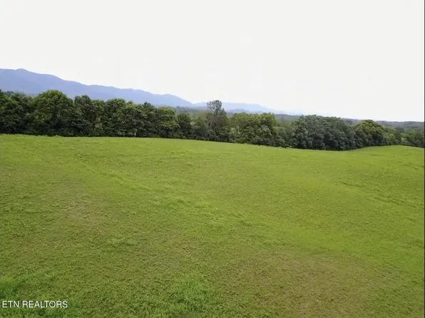 4R Jeffries Hollow Rd, Walland, TN 37886