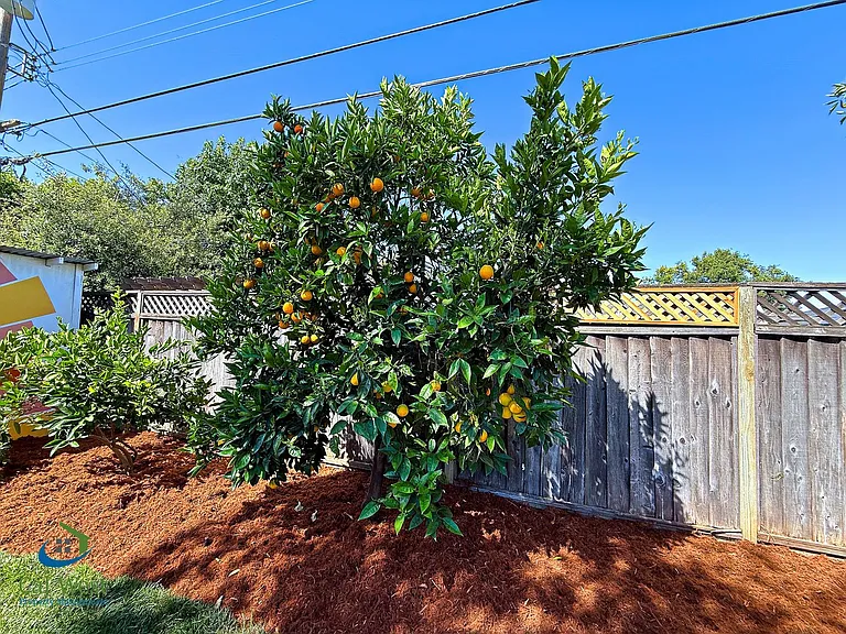 5331 Rimwood Dr — Photo 47