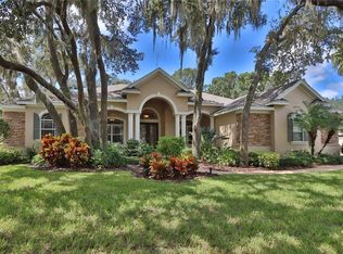 16418 Dunlindale Dr, Lithia, FL 33547