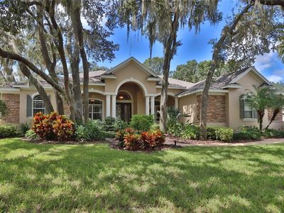 16418 Dunlindale Dr, Lithia, FL, 33547