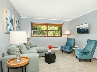 157 Mississippi Pl NE #4, Minneapolis, MN 55432