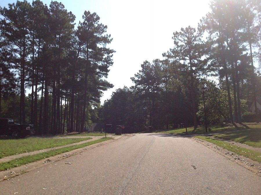 2nd image of 91 Cypress Pl