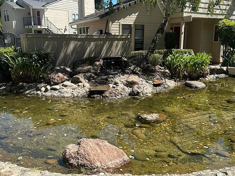 Waterfall area before pool