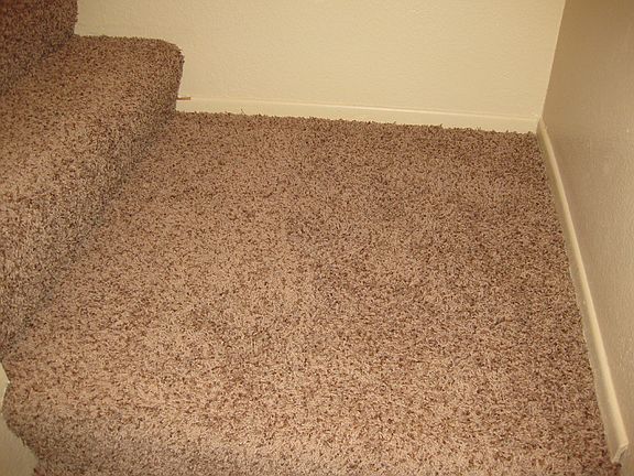5th image of 1313 N Elderberry Ave