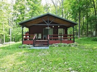 (Undisclosed Address), Hinsdale, NY 14743