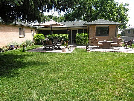 Backyard 2