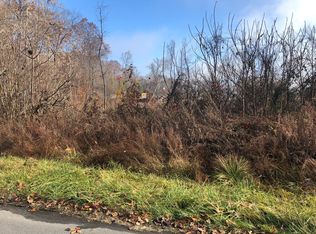 225 Austin Dr, Rogersville, TN 37857