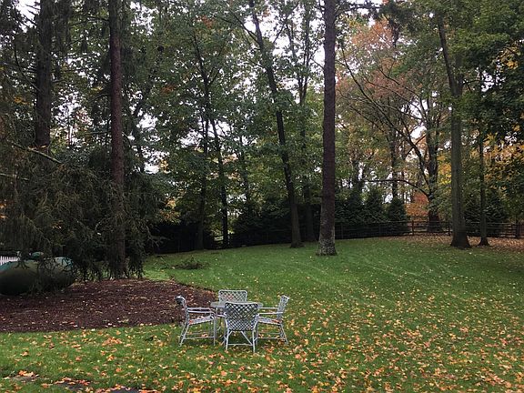 own back yard for lounging and out side cooking