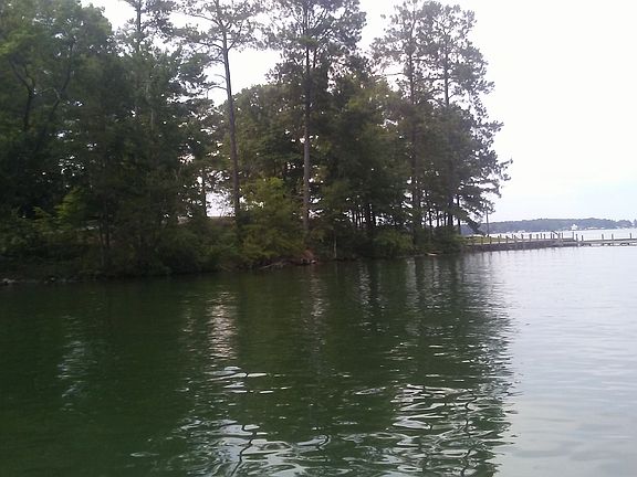Community swim & picnic area