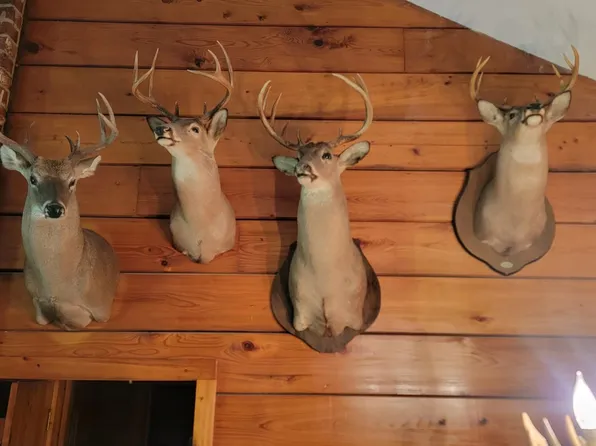 Atchafalaya Basin Property Butte, Breaux Bridge, LA 70517