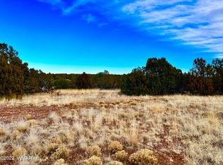 8791 Bruce Dr, Show Low, AZ 85901