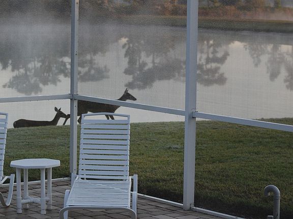 Backyard View