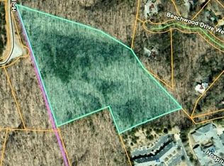 0 Little Wings Mountain Rd, Columbus, NC 28722