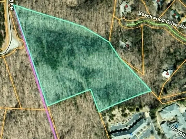 0 Little Wings Mountain Rd, Columbus, NC 28722