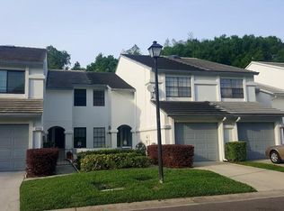 4163 Brentwood Park Cir, Tampa, FL 33624