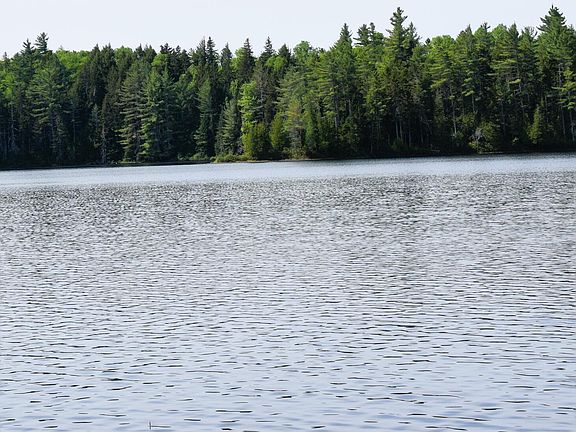 3rd image of MS03 Middle Carry Pond