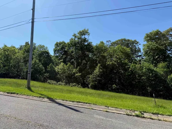 LOT 19 Meadow Glen Rd, Flatwoods, KY 41139