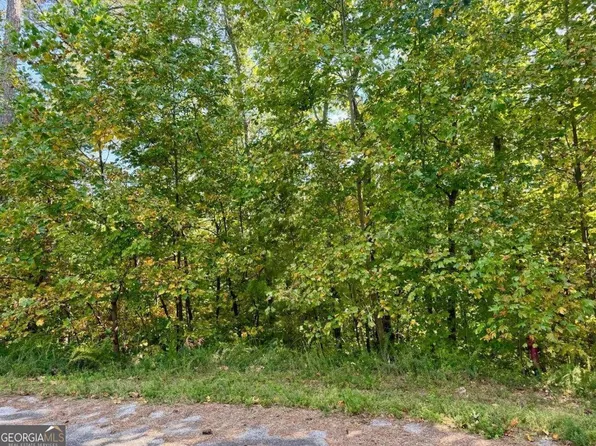 240 Hopewell Dr, Ranger, GA 30734