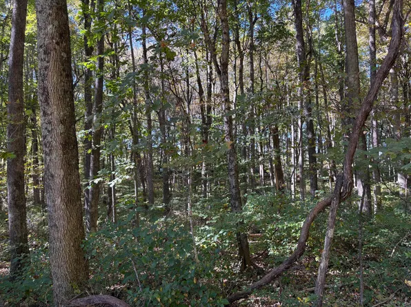 57-58 Woodland Dr, Lewisburg, WV 24901