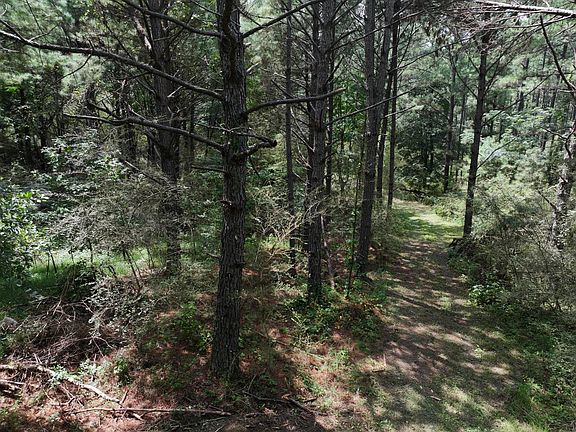 3rd image of 8501 Lawsontown Rd
