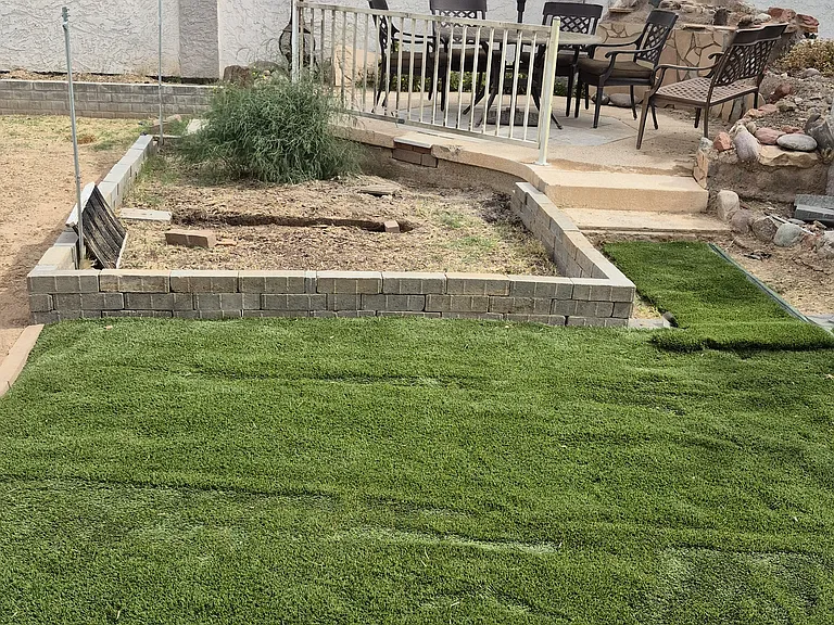 Back yard area with gardening beds
