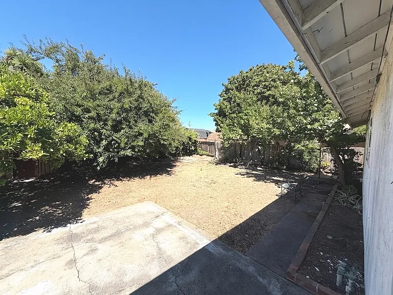 Back yard