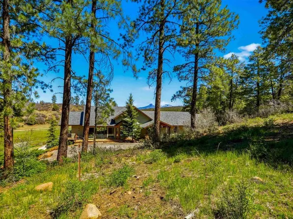 1149 Cattle Trail Place, Pagosa Springs, CO 81147