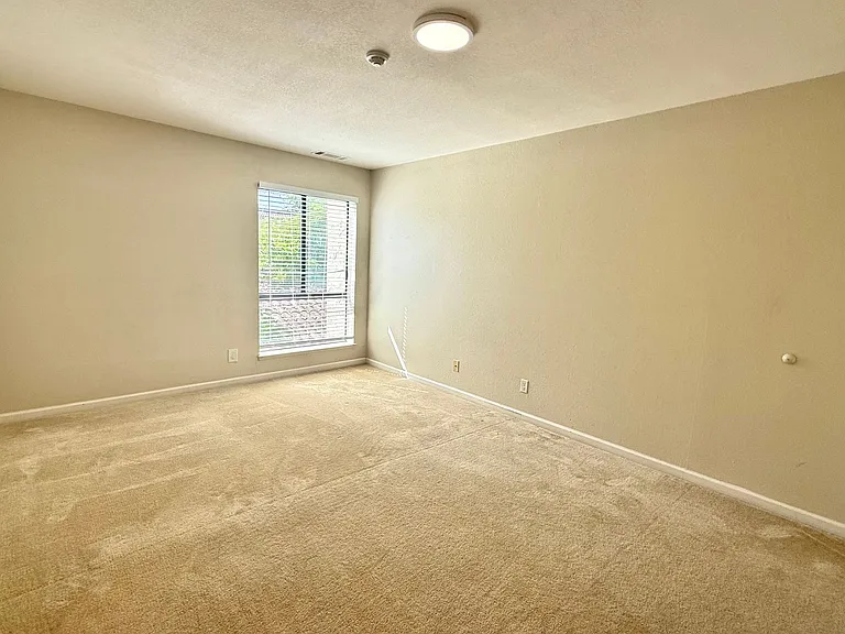 39887 Cedar Blvd #246 — Photo 11