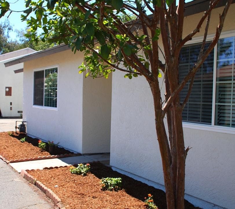 New landscaping, automatic water